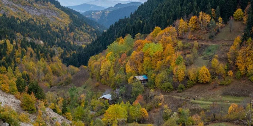 Karadeniz'in yaylaları eşsiz görünümde! Şimdi keşfin tam zamanı: Bu hali ayrı cezbedecek 8